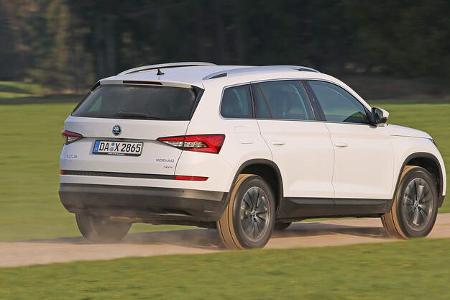 Skoda Kodiaq 2.0 TDI 4x4, Heckansicht
