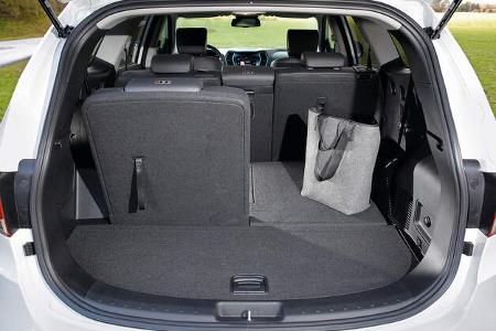 Hyundai Grand Santa Fe 2.2 CRDi Kofferraum