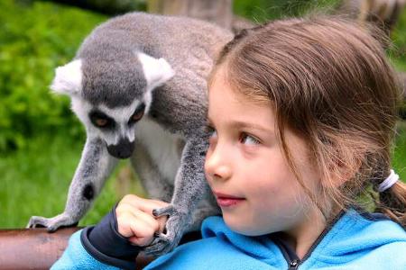 Reise-Tipps im Herbst