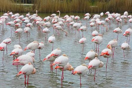 Lesertour Mittelmeerländer