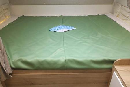 PLA Giottiline Therry 36