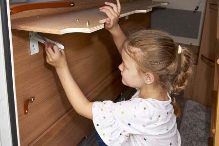 Fendt Saphir 495 SKM (2020)