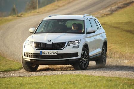Skoda Kodiaq 2.0 TDI 4x4, Frontansicht