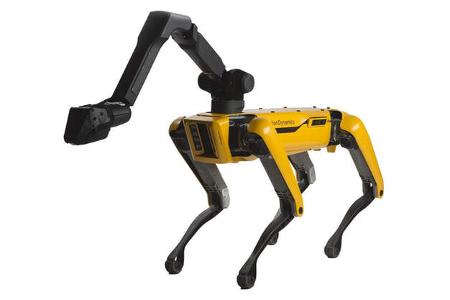 Roboterhund Spot