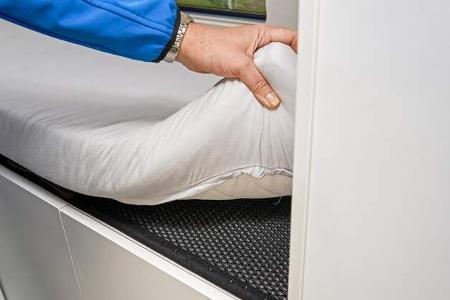 Frankia Yucon 6.0 (2020)