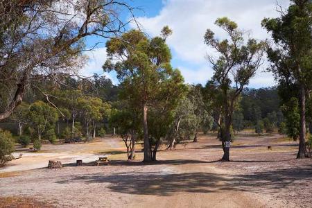 Free Camp, Tasmanien