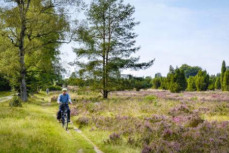 Holland Heide Radweg 