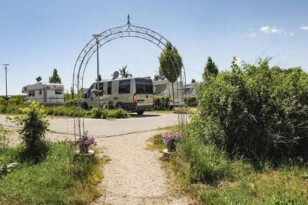 Stellplatz Münsterblick