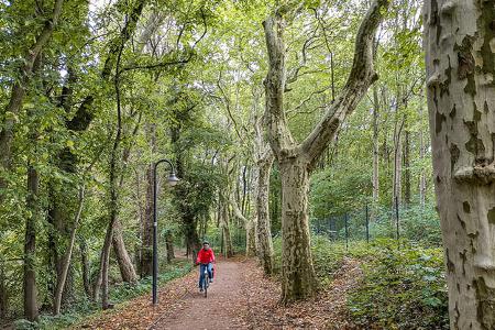 Wohnmobilreise durch die Müritzregion