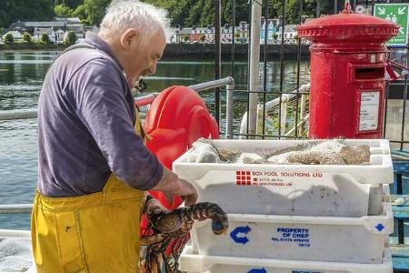 Campingbus-Reise Schottland