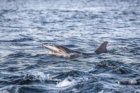 Campingbus-Reise Schottland