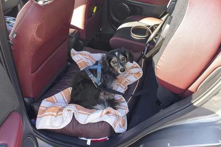 Honda HRV 1,5 VTEC Turbo (2021)