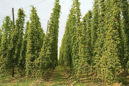 Campingtour in Niederbayern