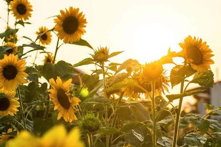 Campingtour in Niederbayern