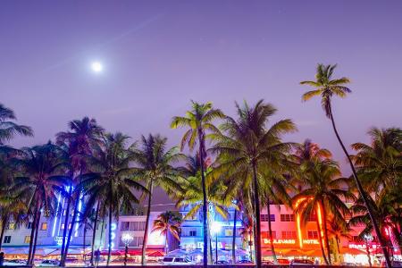 Miami im Winter: Sonne, Sand und Weihnachtspalmen
