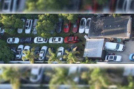 Gestohlene Luxusautos an Hanf-Plantage USA