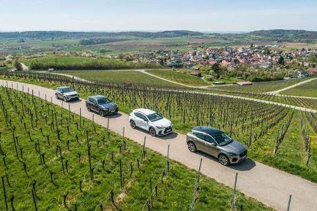 BMW X3, Jaguar E-Pace, Lexus NX, Range Rover Evouge