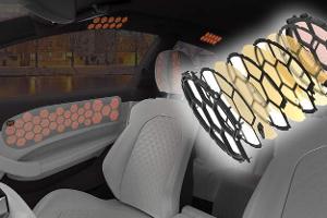 Elektrostatischer Lautsprecher Warwick Electro acoustic Panel