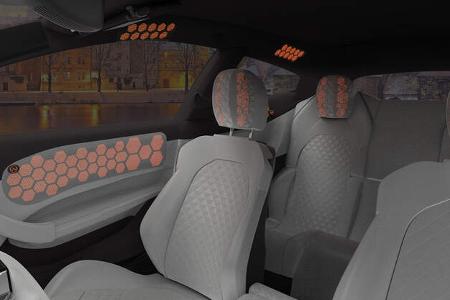 Elektrostatischer Lautsprecher Warwick Electro acoustic Panel