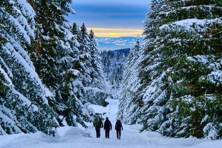 Feldberg Winterwandern