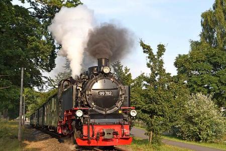 Museumsbahnen in Deutschland - Rasender Roland?
