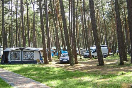 Campingplatz, Wald, BŠume, Zelte, Caravans