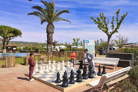 Schachbrett, Menschen, Palmen, Pool, Himmel