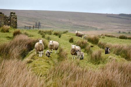 Nordirland - Sperrin Mountains