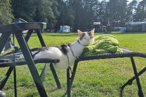 Camper-Tagebuch - Liege