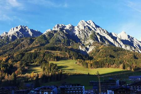 Frankia Neo (2025) f