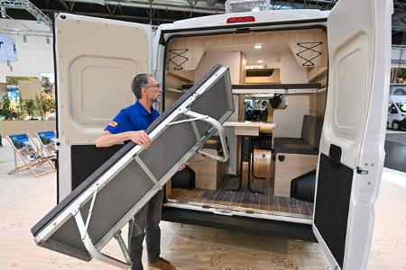 Forster Youngster Sunny (2025)