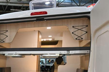 Forster Youngster Sunny (2025) f