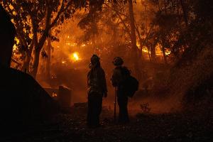 Feuer in den Hollywood Hills: Evakuierungszone teils aufgehoben