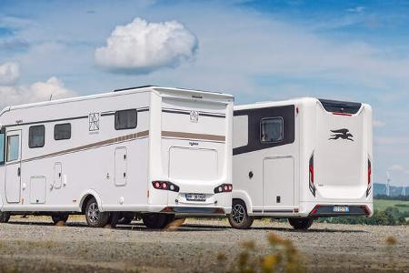 Frankia, Laika, Rückwand