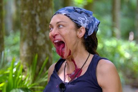 Dschungelcamp: Büffelnacken, Bullenhirne, Bildungslücken