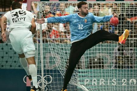 Handball: MT Melsungen holt Ungarn-Keeper Palasics