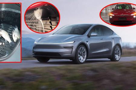Tesla Model Y Facelift Project Juniper Gaga Features