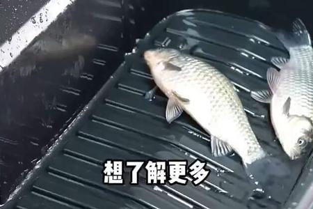 Tesla Model Y Facelift Project Juniper Frunk Ablaufstopfen Aquarium