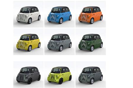 Caselani Citroën Ami 