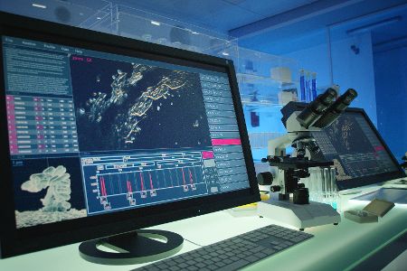 Digitale Forschung an Viren