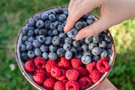 Himbeeren, Brombeeren, Heidelbeeren