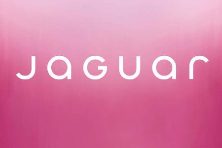 SPERRFRIST 19.11.24 10 Uhr Jaguar Logo Schriftzug Brand Design 