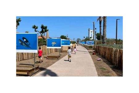 Yelloh! Village Le Brasilia 