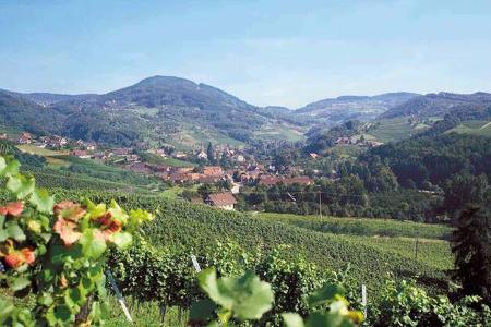 Badische Weinstrasse