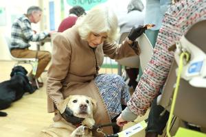 Königin Camilla stellt neues Familienmitglied vor