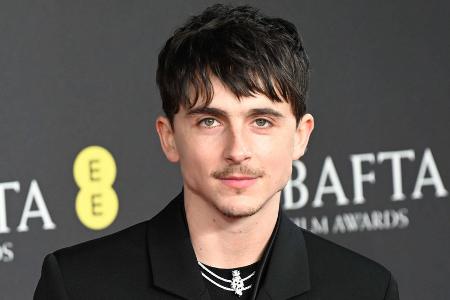 Timothée Chalamet auf Oscar-Kurs: Knackt er Adrien Brodys Rekord?