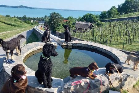 Gefuehrte Wohnmobilreisen i