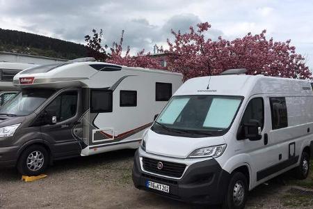 Weinsberg Caratour 541 (2019)