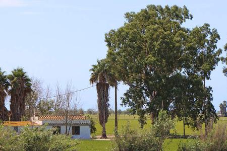 Reise Costa Daurada f