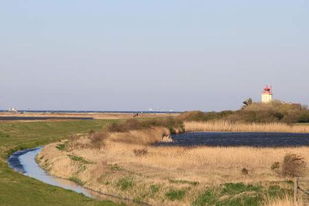 Dauertester Malibu T 430 LE 